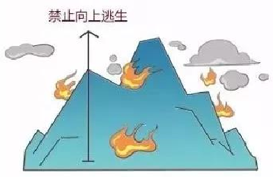 1554861127377822.png 微信圖片_201904031008472.png