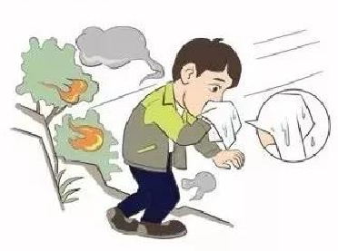 1554861135756894.png 微信圖片_201904031008473.png