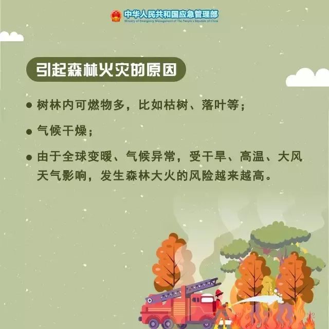 1576125545756014.jpg 3.jpg