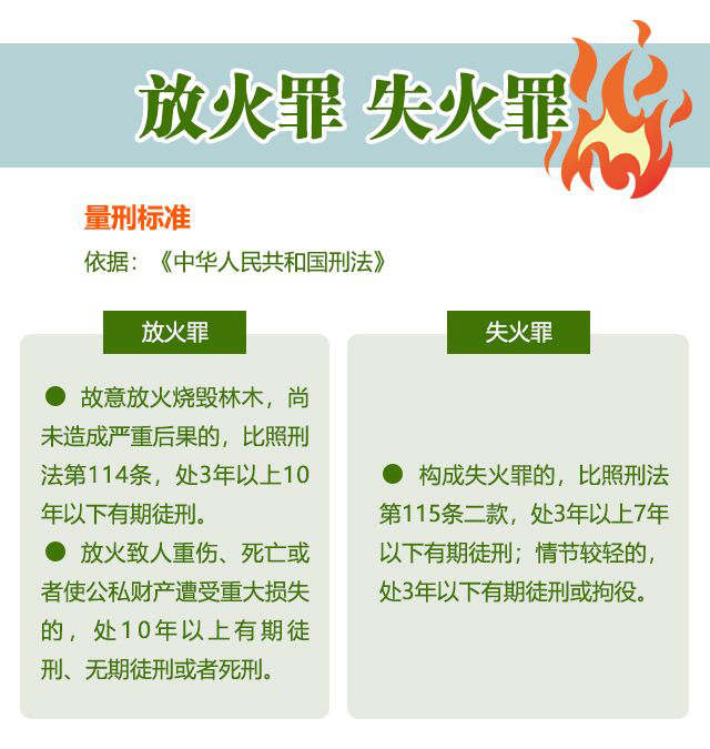 1584951395473433.jpg 森林3.jpg